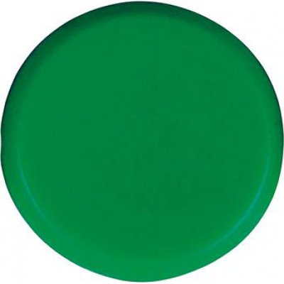Organizační magnet, kulatý zelený 20mm Eclipse